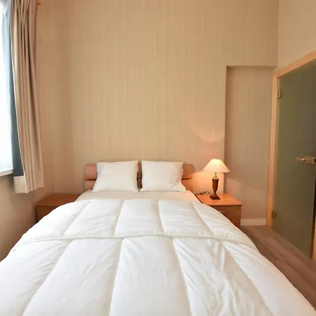 Former In The Centre And At 50 Metres From The In Panne Holiday home